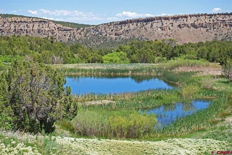 TBD Old HWY 90 MONTROSE COUNTY Montrose CO 81403