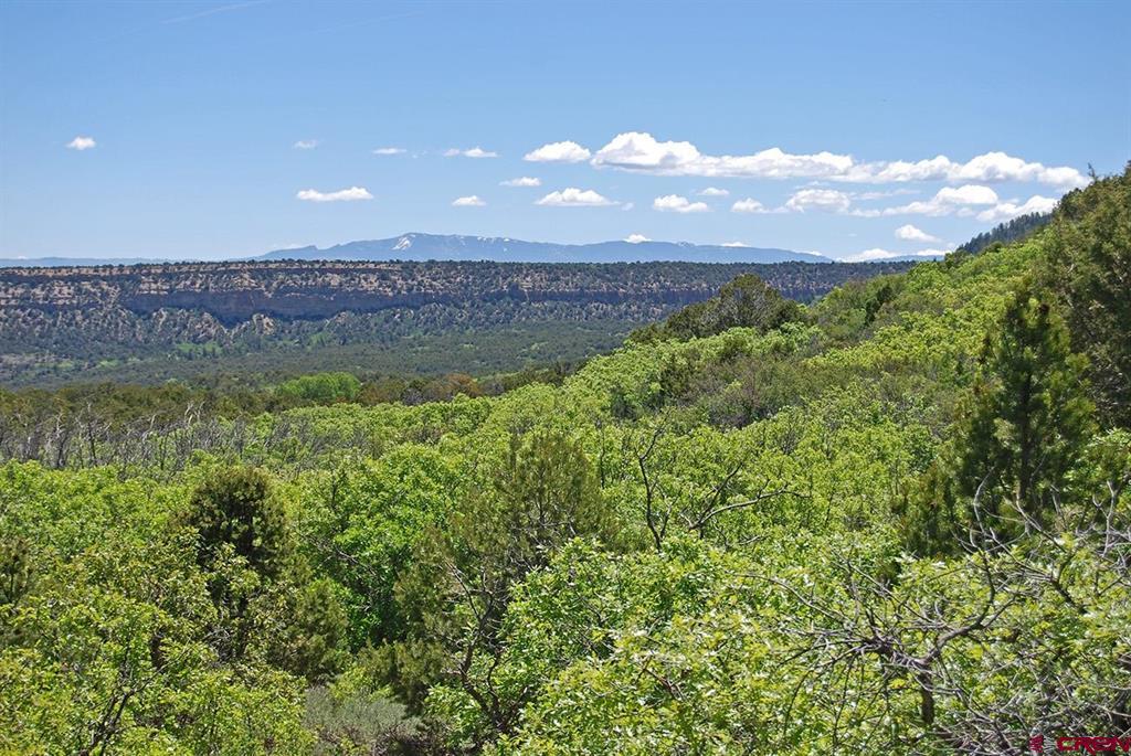 TBD Old HWY 90 MONTROSE COUNTY