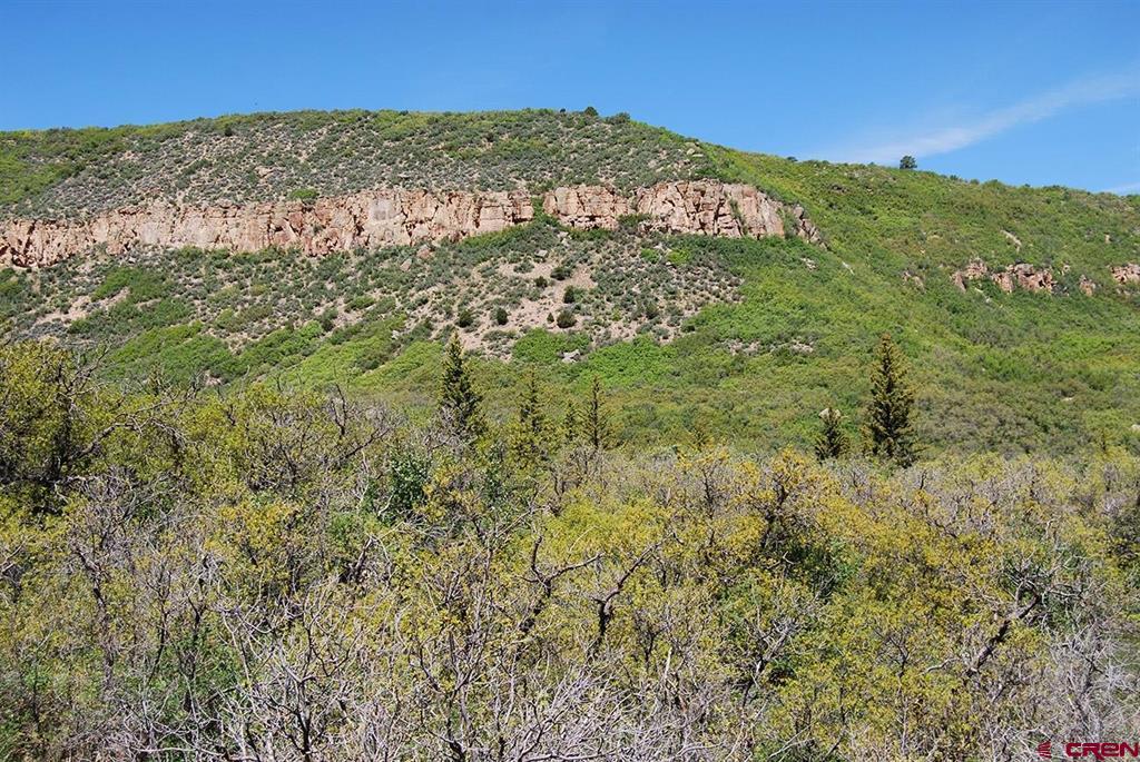 TBD Old HWY 90 MONTROSE COUNTY