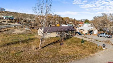 13330 L Road Montrose CO 81403