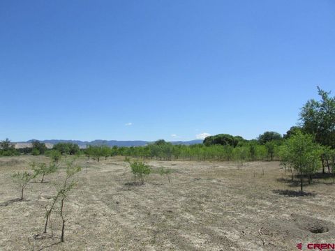 1201 San Juan Avenue Montrose CO 81401