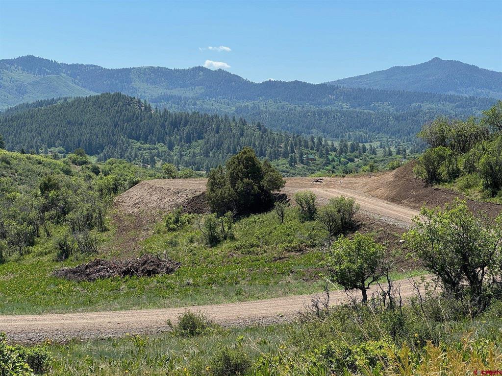 778 W Arbol Park Drive