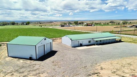 Photo of 11604 5800 Road, Montrose, CO 81403 (MLS # 833982)