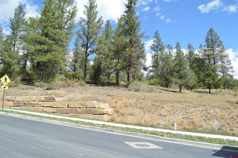 89 Wild Chives Ct. Durango CO 81301