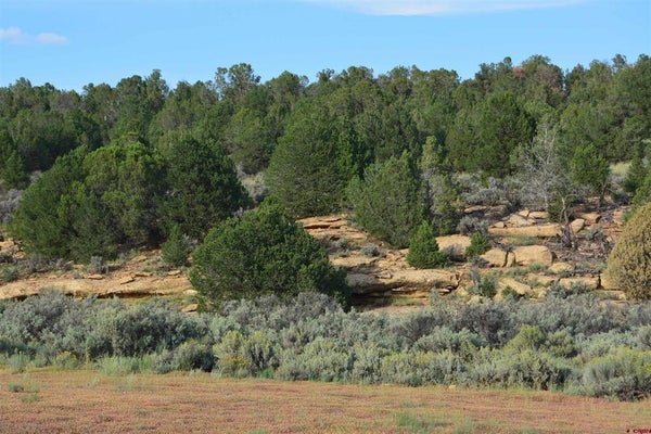ADDRESS PRIVATE, HESPERUS, CO 81326 - Image de93e109fee52b05488e44819ca6f6e5/3198280826