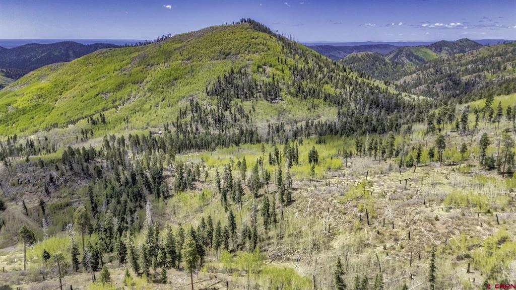 1515 County Road 243