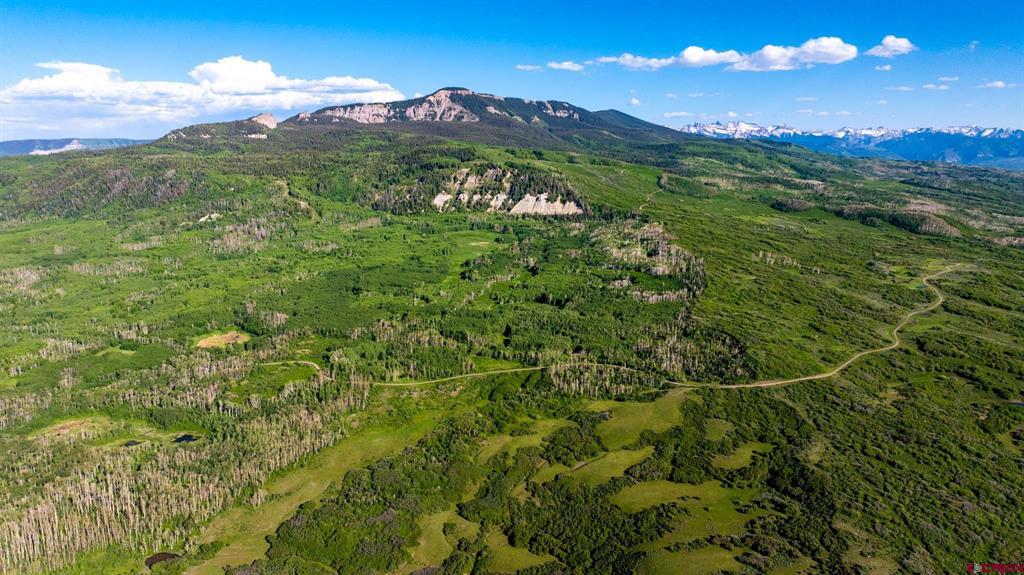 TBD Wapiti Trail