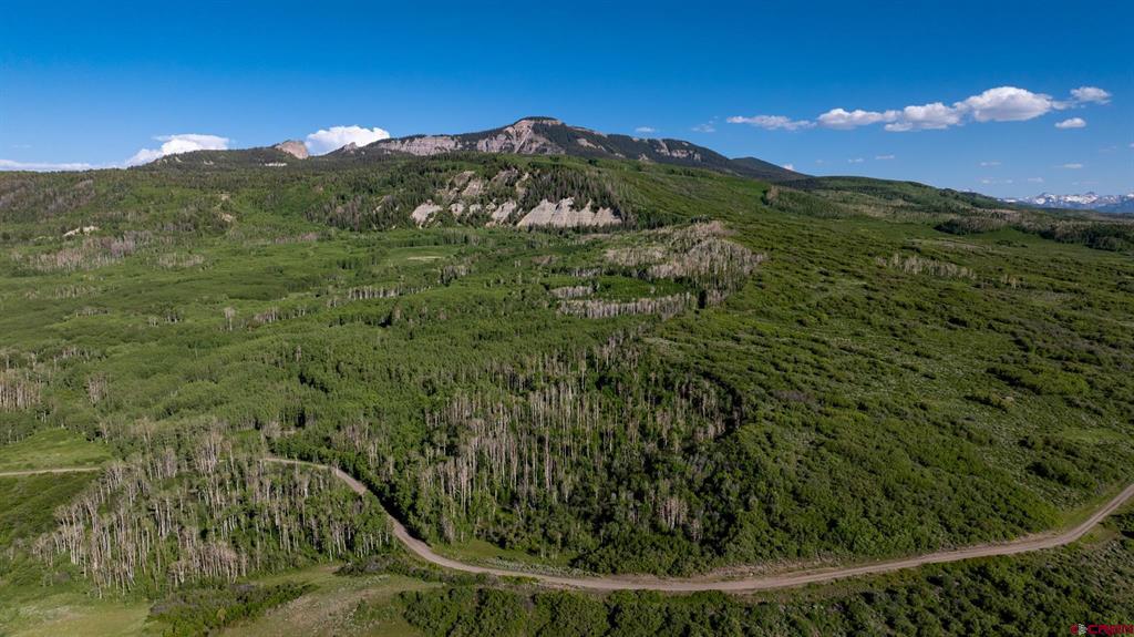 TBD Wapiti Trail