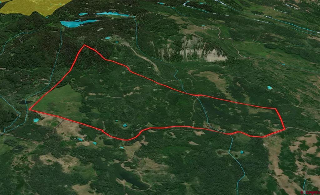TBD Wapiti Trail