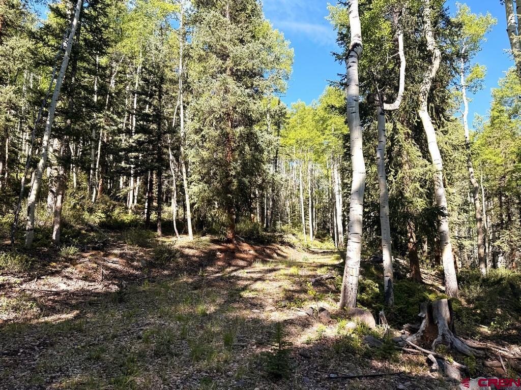 20 Alpine Vista Way