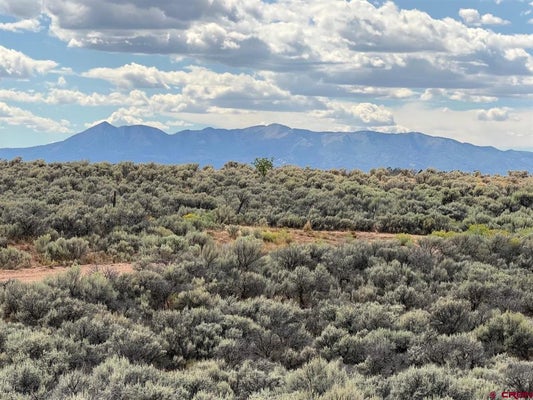 TBD ROAD C, DOVE CREEK, CO 81324 - Image df0e4f81875cd5db01e7612772cd3dd2/1746487863