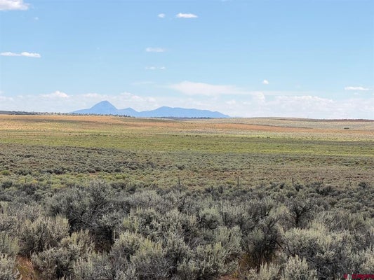 ADDRESS PRIVATE, DOVE CREEK, CO 81324 - Image df0e4f81875cd5db01e7612772cd3dd2/524325245