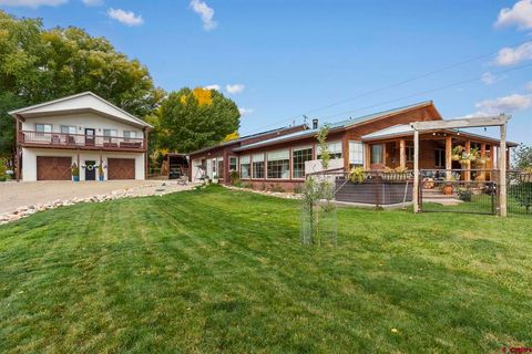 38330 Road G Mancos CO 81328