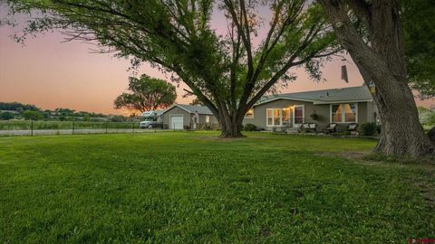 Photo of 6859 Church Road, Olathe, CO 81425 (MLS # 837191)