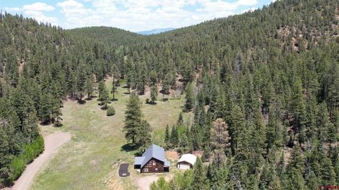 885 Puma Place Pagosa Springs CO 81147