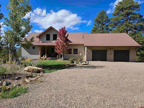 457 E Arbol Park Drive Pagosa Springs CO 81147