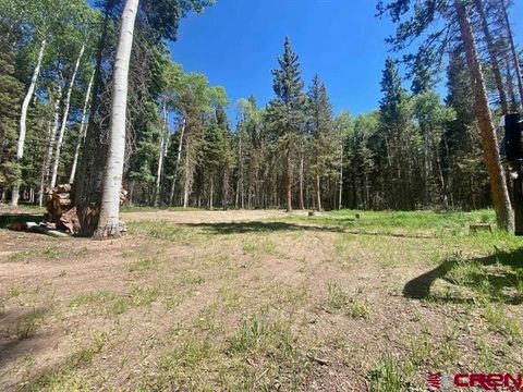 Photo of 1772 Spruce Road, Cimarron, CO 81220 (MLS # 833060)
