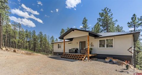 410 Timber Drive Bayfield CO 81122