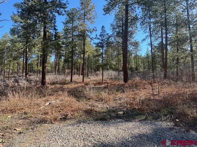 1086 Edgemont Highlands Drive