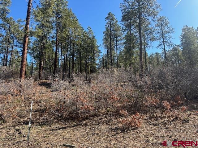 1086 Edgemont Highlands Drive