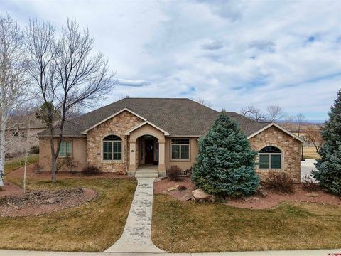 Photo of 3325 Mahogany Drive, Montrose, CO 81401 (MLS # 832188)