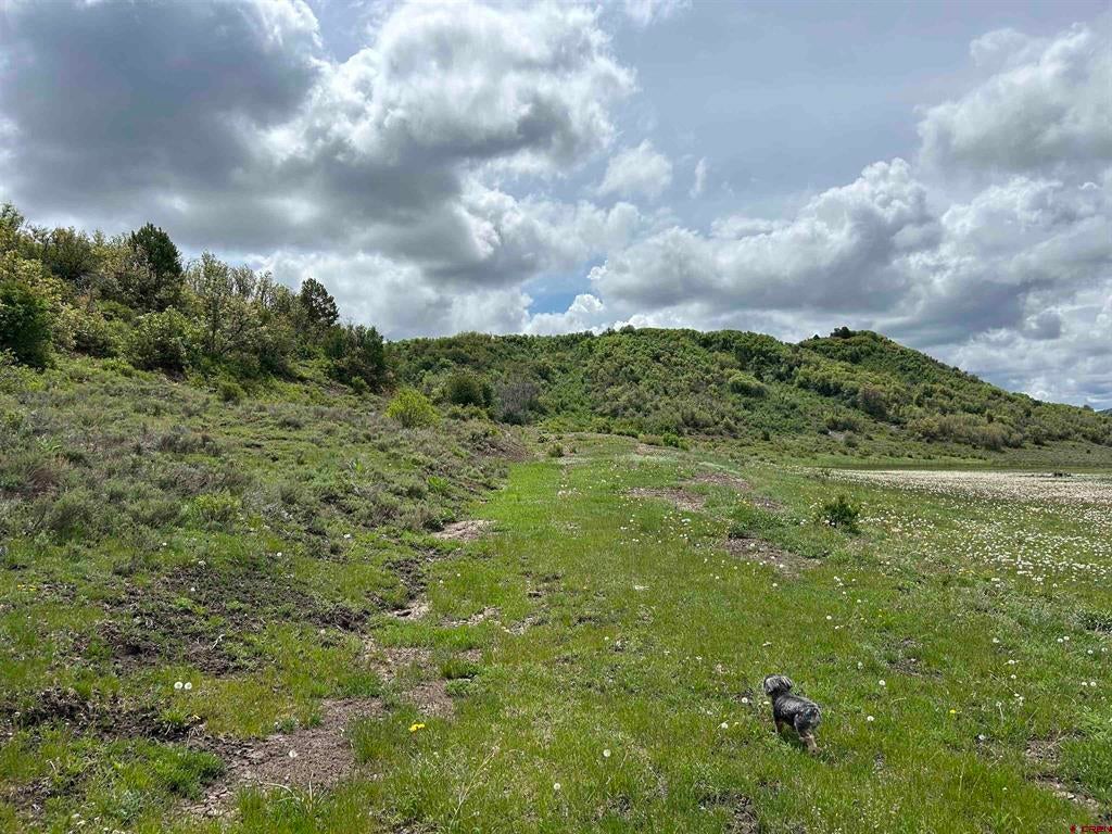 Lot 77 Road 29.8