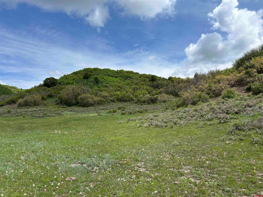 Lot 77 Road 29.8