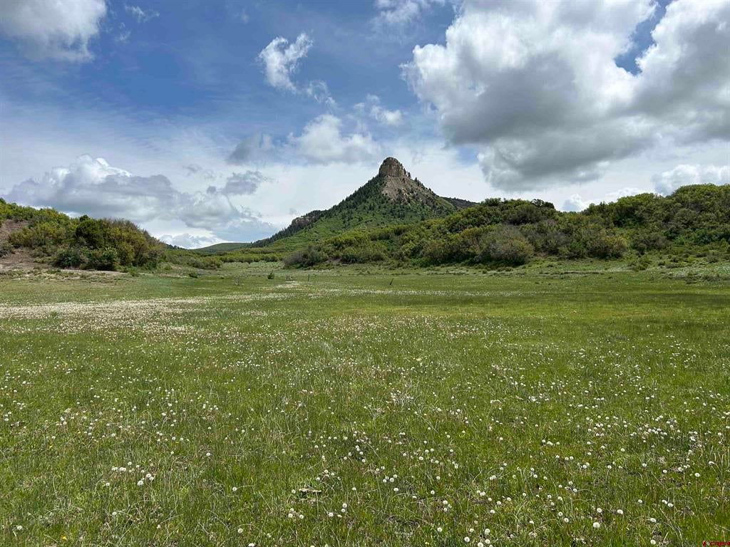Lot 77 Road 29.8