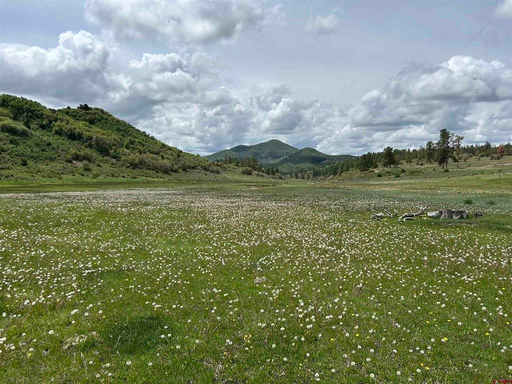 Lot 77 Road 29.8
