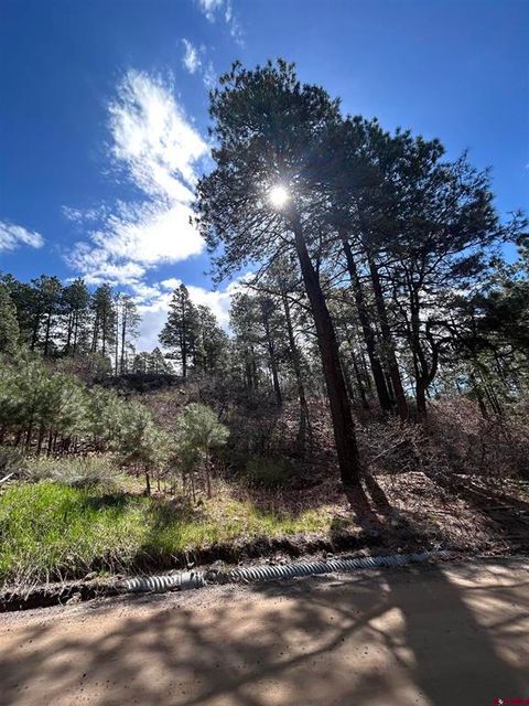 300 Berry Drive Bayfield CO 81122