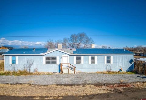 6154 Graff Road Delta CO 81416