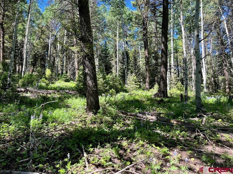 Photo 1 of 20 — 457 Ute Drive, Cimarron, CO 81220
