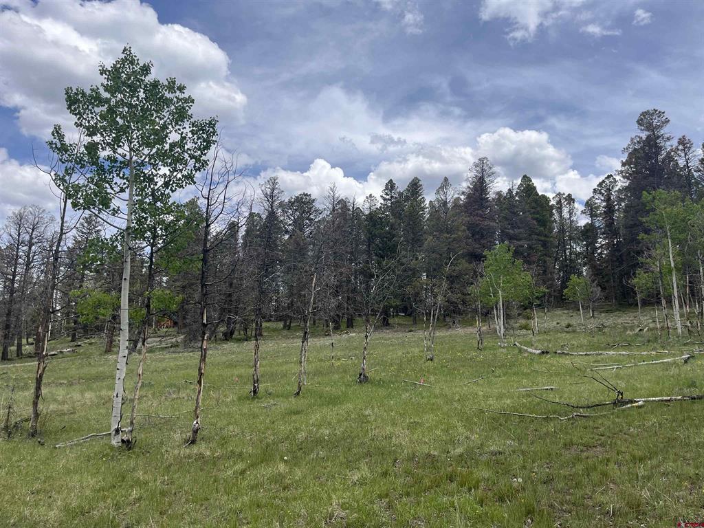 254 Aspen Trail