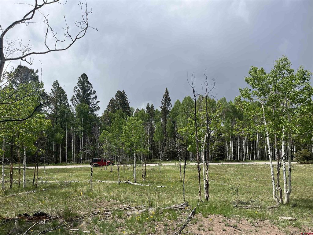 254 Aspen Trail