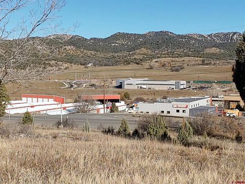 111 CR 232 Durango CO 81303