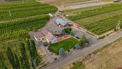 Photo of 20809 Nowhere Road, Eckert, CO 81418 (MLS # 831439)