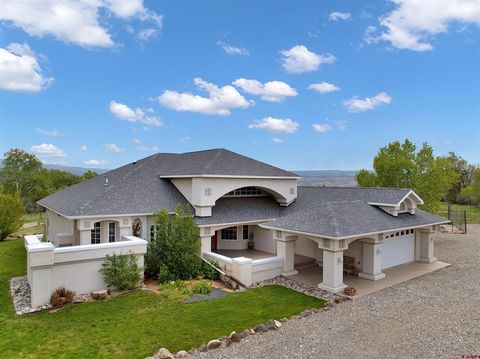 Photo of 10783 3200 Road, Hotchkiss, CO 81419 (MLS # 834812)