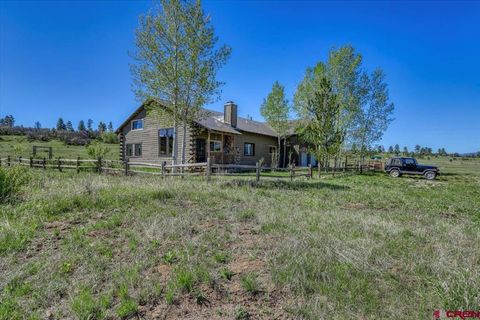 Photo of 101 Spirit Path Court, Pagosa Springs, CO 81147 (MLS # 833698)