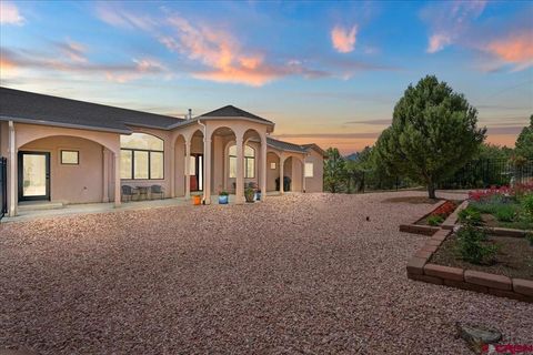 Photo of 555 Waterview Lane, Ridgway, CO 81432 (MLS # 833440)