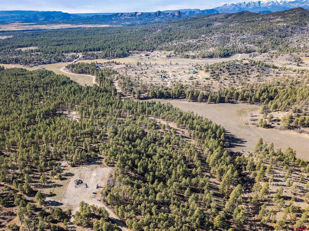 5561 County Road 228