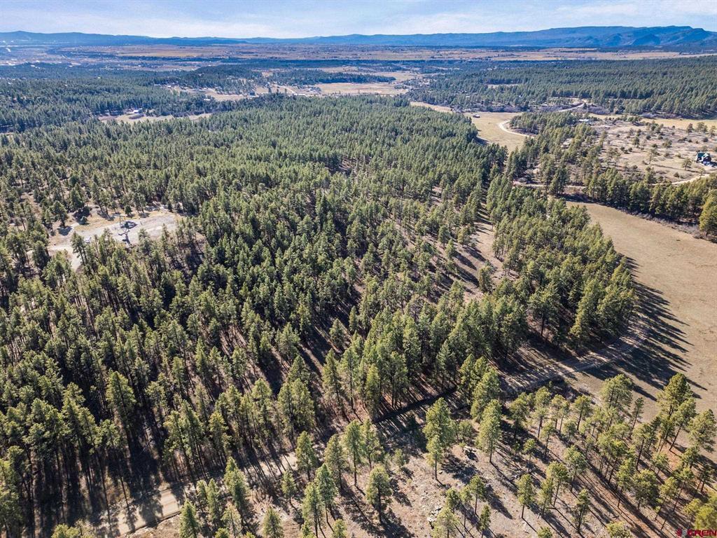 5561 County Road 228