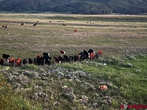 88 Bridle Spur Way Crested Butte CO 81224