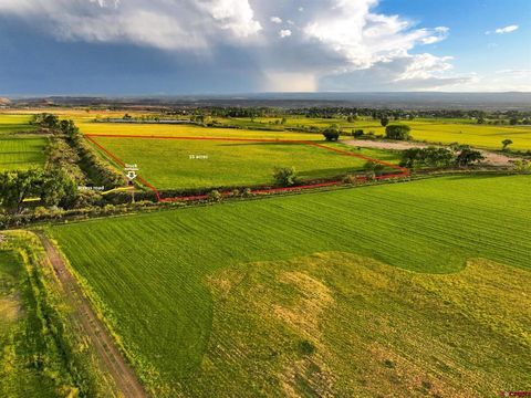 TBD 6725 Road Montrose CO 81401