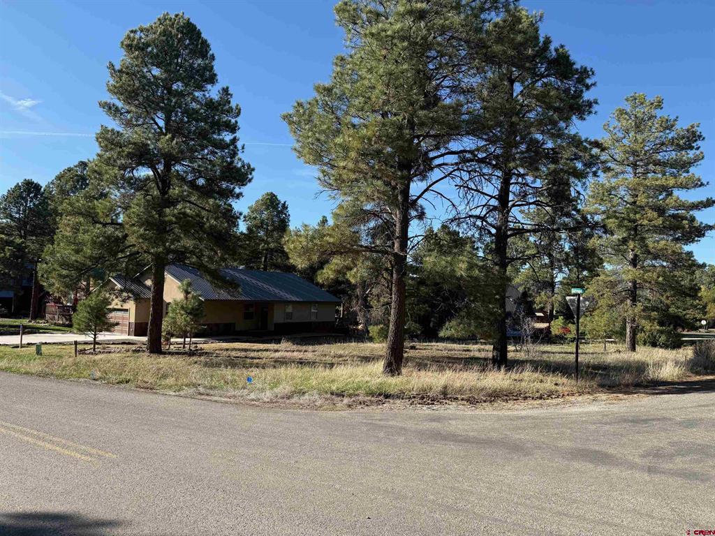447 oakwood Circle - Photo 3