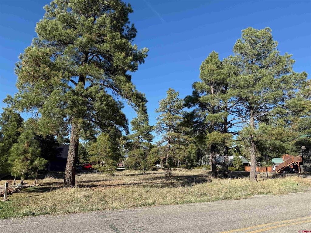 447 oakwood Circle - Photo 4