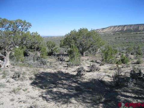 Photo of 2 Buckhorn Road, Montrose, CO 81403 (MLS # 833945)