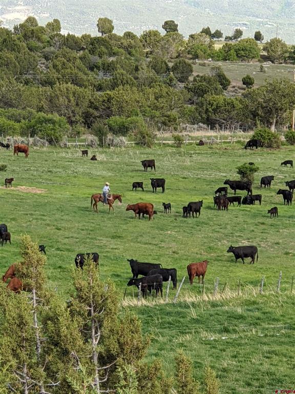 37248 Stucker Mesa Road