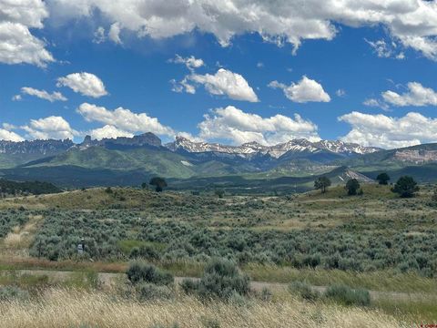 221 Dallas Court Ridgway CO 81432