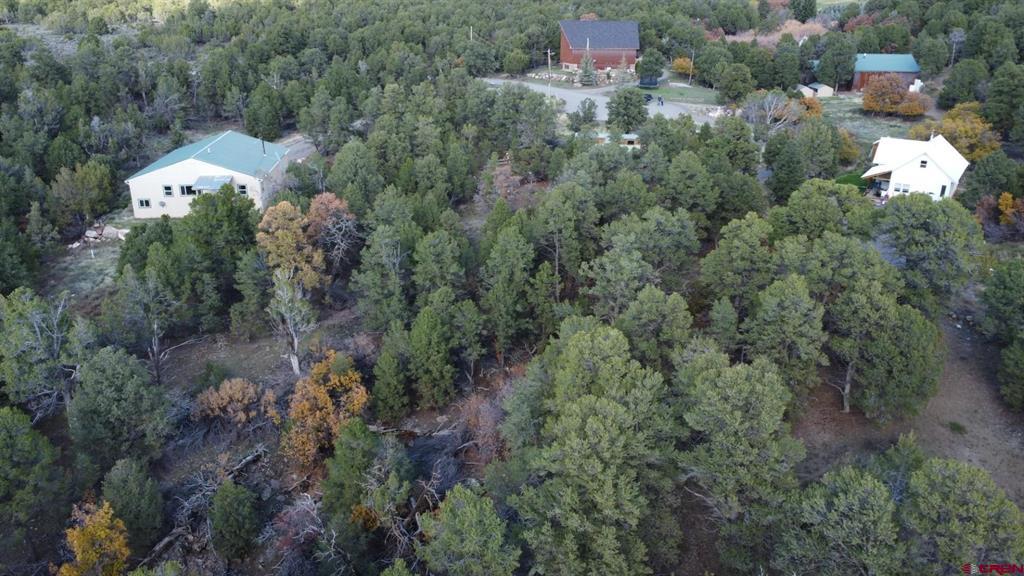 24888 Timothy Road