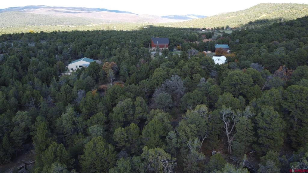 24888 Timothy Road